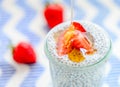 Chia seed pudding Royalty Free Stock Photo