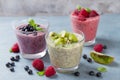 Chia seed pudding with various fruit and berries