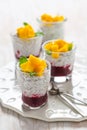 Chia seed pudding with yogurt, raspberry mousse and fresh mango