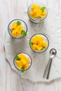 Chia seed pudding with yogurt, raspberry mousse and fresh mango