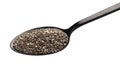 Chia seeds in black spoon isolated on white background Royalty Free Stock Photo