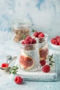 Chia seeds pudding with figs, raspberry and granola Royalty Free Stock Photo