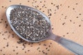 Chia seeds in stainless steel spoon