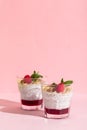 Chia seeds vanilla pudding with raspberry, oats musli and mint on rose hard shadow