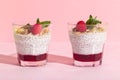 Chia seeds vanilla pudding with raspberry, oats musli and mint on rose hard shadow