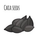 Chia seeds. Vegetarian food in cartoon flat style. Organic superfood.