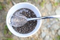 Chia Seeds in Water Royalty Free Stock Photo