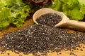 Chia seeds. Chia seeds in a wooden spoon close-up. Slimming, Health Care Royalty Free Stock Photo