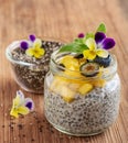 Chia seeds and yogurt pudding Royalty Free Stock Photo