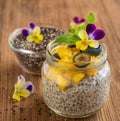 Chia seeds and yogurt pudding Royalty Free Stock Photo