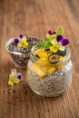 Chia seeds and yogurt pudding Royalty Free Stock Photo