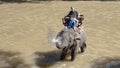 Chiang Mai Elephant Training Camp