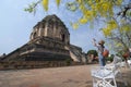 CHIANG MAI , THAILAND - APRIL 3, The traveler taken picture at Wat Jedi Luang temple with Golden Shower tree yellow flowers