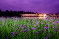 CHIANG MAI, THAILAND - December 17, 2022 : Lakeside buildings with flower beds in the foreground at night