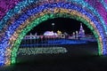 CHIANG MAI, THAILAND - December 12, 2023 : View of flower garden with beautiful lighting during the New Year\'s festival.