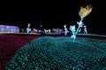 CHIANG MAI, THAILAND - December 12, 2023 : View of flower garden with beautiful lighting during the New Year\'s festival.