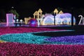 CHIANG MAI, THAILAND - December 12, 2023 : View of flower garden with beautiful lighting during the New Year\'s festival.