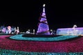 CHIANG MAI, THAILAND - December 12, 2023 : View of flower garden with beautiful lighting during the New Year\'s festival.