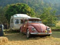 CHIANG MAI, THAILAND - FEBRUARY 17, 2021 : Orange 1969 Volkswagen Beetle parked in camping ground