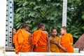 Unidentified Buddhism neophyte playing little monk life style in Buddihist temple