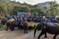 Large catering fruit buffet Khantok Chang for elephants on Thai Elephant Day