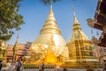 Wat Phra Singh Woramahaviharn temple is located in the old city centre of Chiang Mai Royalty Free Stock Photo