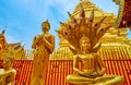 Naga-Raja Buddha image in Wat Phra That Doi Suthep temple, Chiang Mai, Thailand Royalty Free Stock Photo