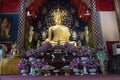 Phra Chao Kao Tue, a bronze Buddha image in the temple at Wat Suan Dok, Chiang mai, Thailand Royalty Free Stock Photo