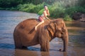 Chiang Mai, Thailand-May 13,2018: Young Asian Woman wearing Lanna traditional style costume with elephant in Chiang Mai, Thailand. Royalty Free Stock Photo