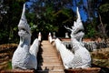 Chiang Mai, Thailand: Naga Staircase at Wat Palad