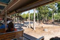 The traveler feeding giraffe at Chiang Mai night safari, Thailand