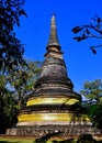 Chiang Mai, Thailand: Wad Umong Stone Chedi