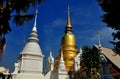 Chiang Mai, Thailand: Wat Suan Dok Chedis