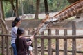 A woman with two girls is feeding a giraffe. Chiang Mai Zoo