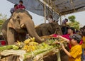 Chiang Rae, Thailand - 2019-03-13 - Elephant Day is celebrated with a feast of fruits for the elephants that have worked Royalty Free Stock Photo