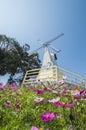 The windmill in Chiang Rai ASEAN Flower Festival 2020