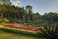 Chiang Rai Province, Thailand - February 18, 2019: Doi Tung Royal Villa and Mae Fah Luang Garden. Magnificent gardens with rare fl