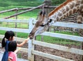 Chiang Rai, Thailand, Aug28, 2016: Two girls watching and feeding giraffe during a trip to a city zoo at Singh's Park