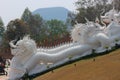 Chiang Rai, Thailand, beautiful landscape Huay Pla Kang Temple Beautiful white dragon statue Things to do in Chiang