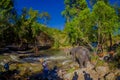 CHIANG RAI, THAILAND - FEBRUARY 01, 2018: Outdoor view of group of elephants happy playing in the water at Elephant
