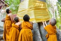 CHIANGMAI, THAILAND - APRIL 15: The little monks residents are r
