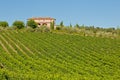 Chianti classico panorama Royalty Free Stock Photo