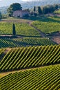 Chianti classico view Royalty Free Stock Photo