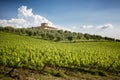 Chianti vineyards in Tuscany, Italy.