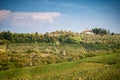 Chianti hills with vineyards and cypress. Tuscan Landscape between Siena and Florence. Italy