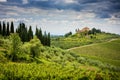 Chianti hills with vineyards and cypress. Tuscan Landscape between Siena and Florence. Italy Royalty Free Stock Photo