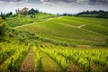 Chianti hills with vineyards and cypress. Tuscan Landscape between Siena and Florence. Italy