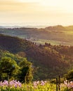 Chianti Italy Rolling Hillside at Sunset Royalty Free Stock Photo