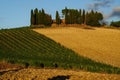 Chianti Landscape Royalty Free Stock Photo