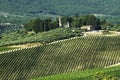 Chianti landscape Royalty Free Stock Photo
